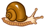 snail - coloured